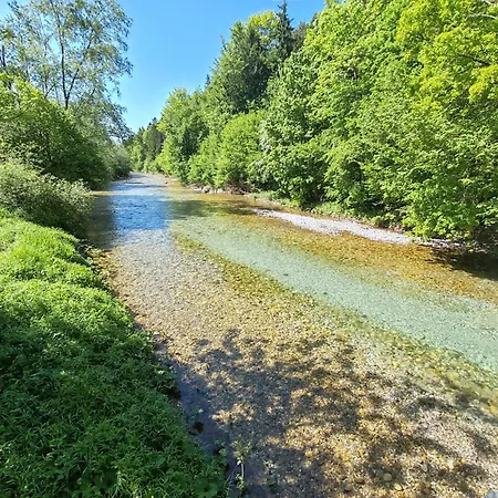 Ursa Major * Preddvor