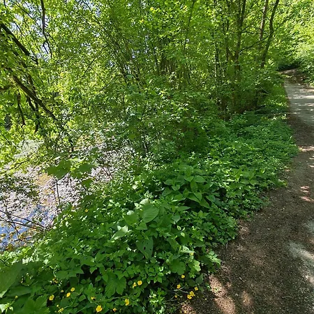 公寓 Ursa Major 普雷德沃尔