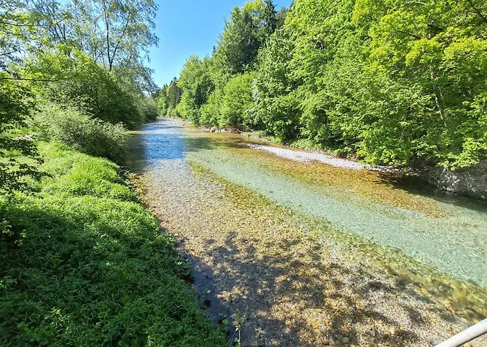 Ursa Major * 普雷德沃尔