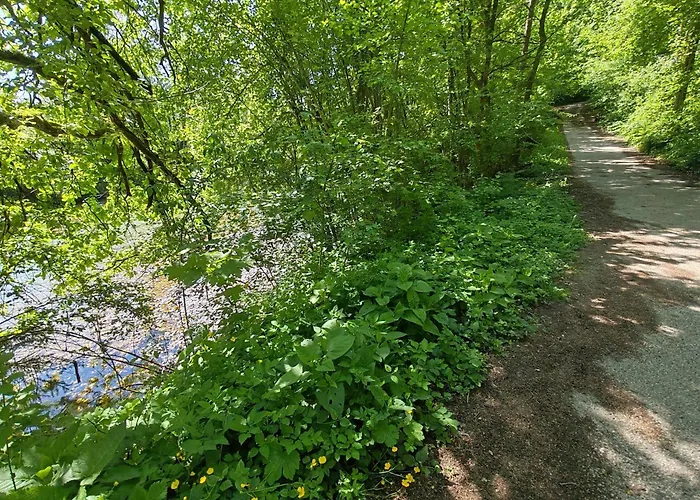 Апартаменты Ursa Major Преддвор